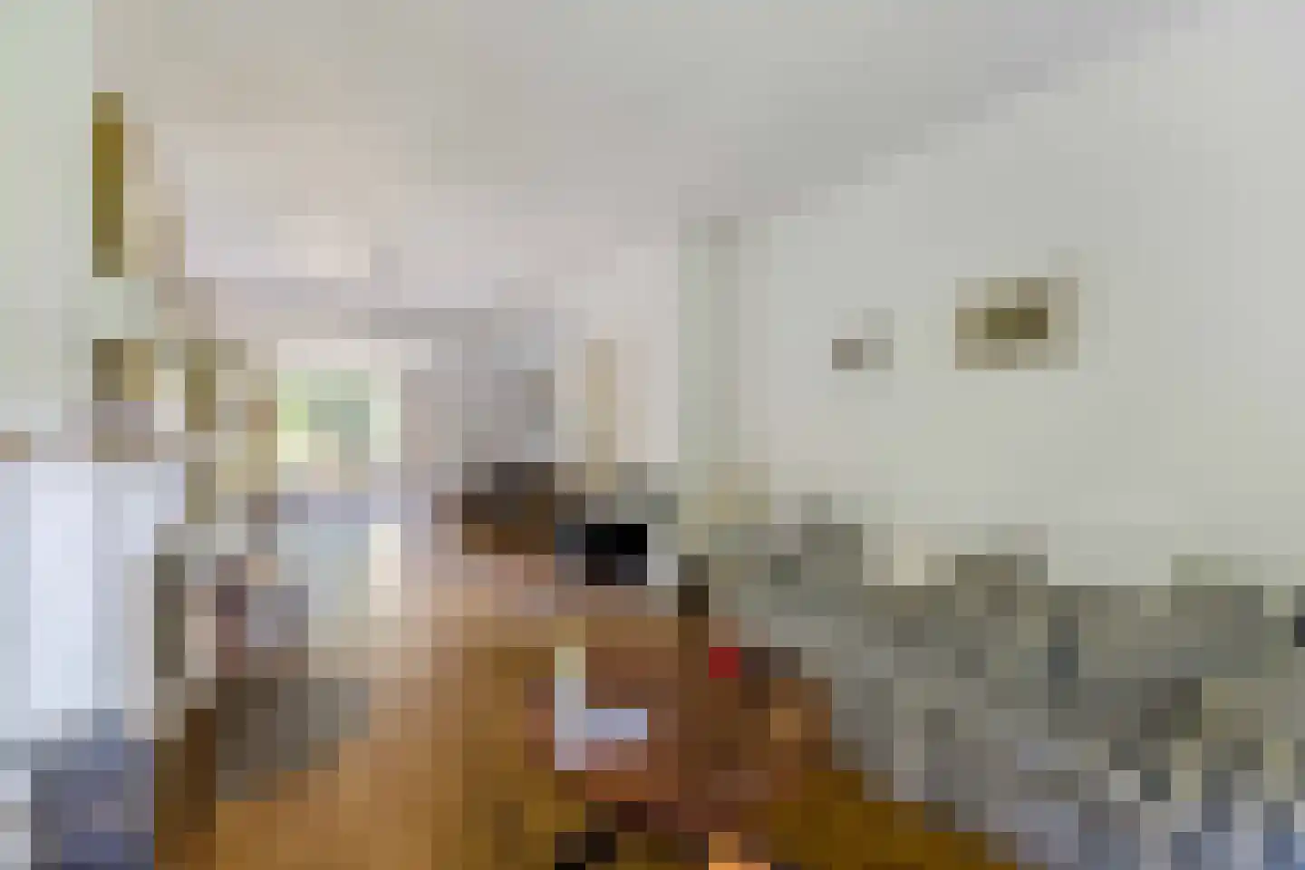 Albert Cuyplaan 11 Bilthoven thumbnail 8