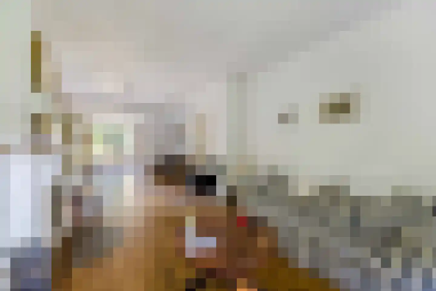 Albert Cuyplaan 11 Bilthoven thumbnail 9