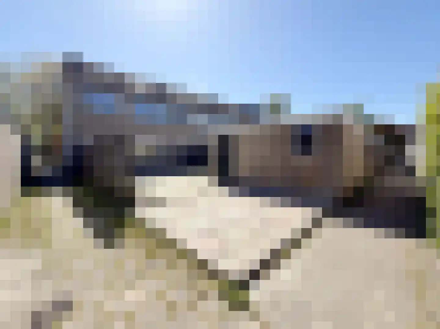 Albert Cuyplaan 11 Woudenberg thumbnail 24