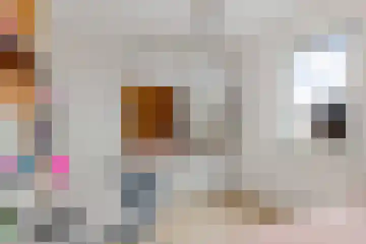 Albert Cuyplaan 12 Veendam thumbnail 36