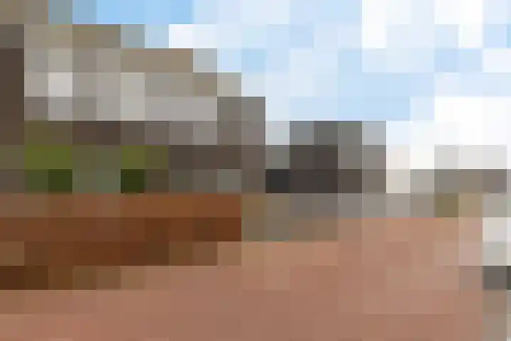 Albert Cuyplaan 12 Veendam thumbnail 5