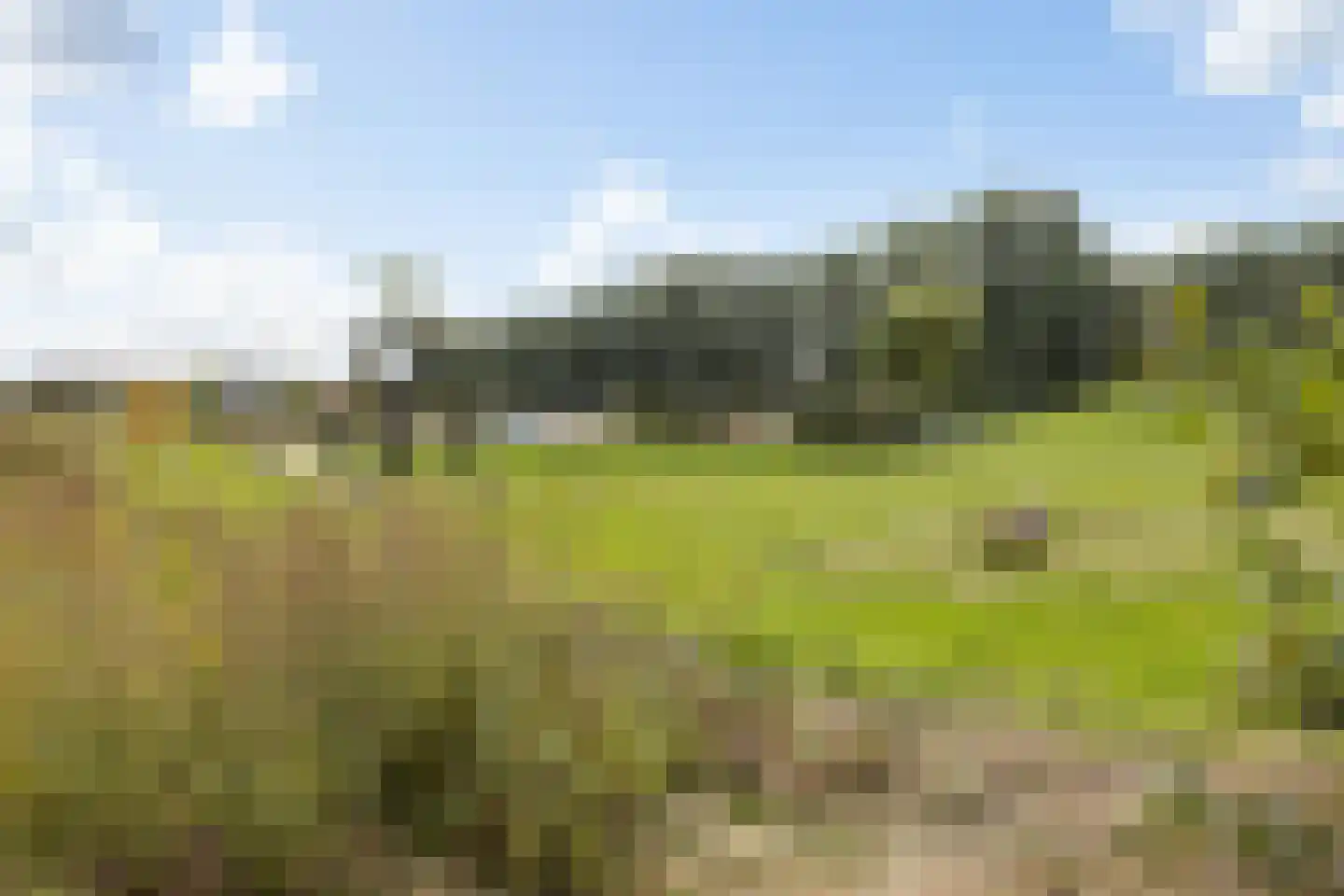 Albert Cuyplaan 22 Woudenberg thumbnail 45