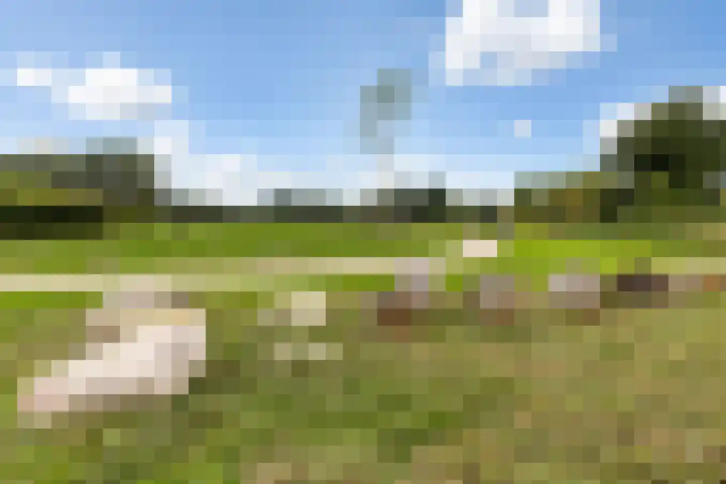 Albert Cuyplaan 22 Woudenberg thumbnail 47
