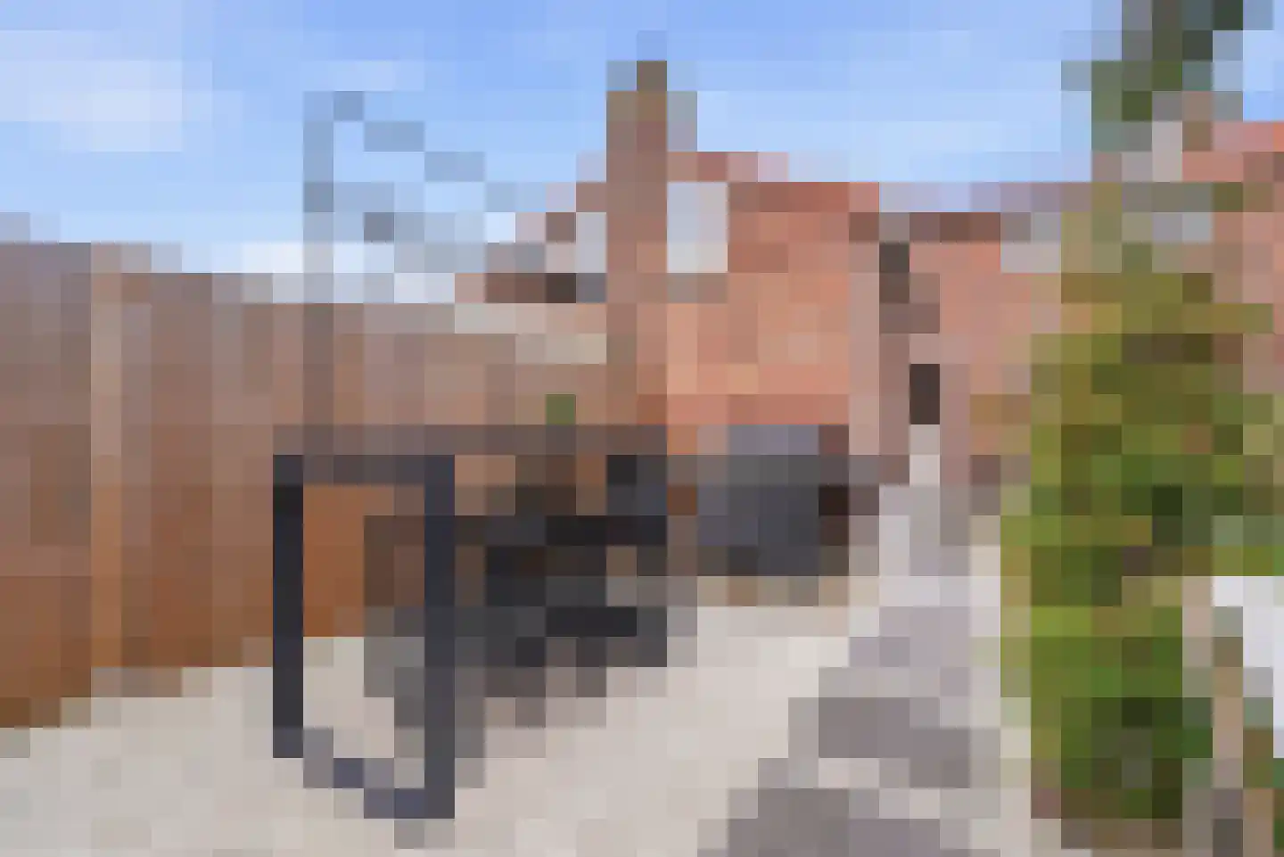 Albert Cuyplaan 28 Vlissingen thumbnail 27