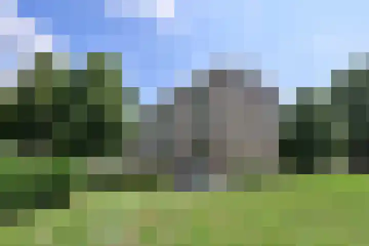 Albert Cuyplaan 29 Soest thumbnail 14