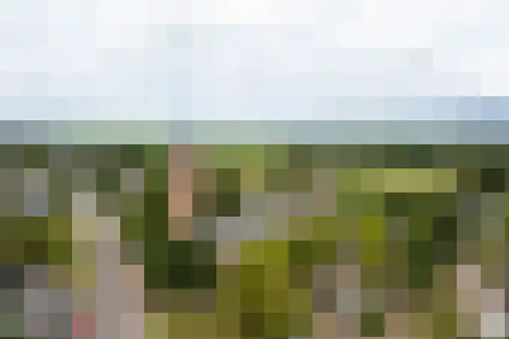 Albert Cuyplaan 45 Soest thumbnail 25