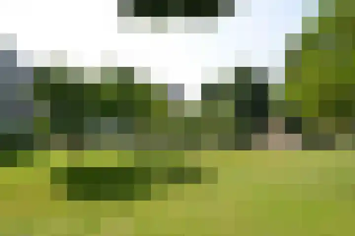 Albert Cuyplaan 45 Soest thumbnail 4