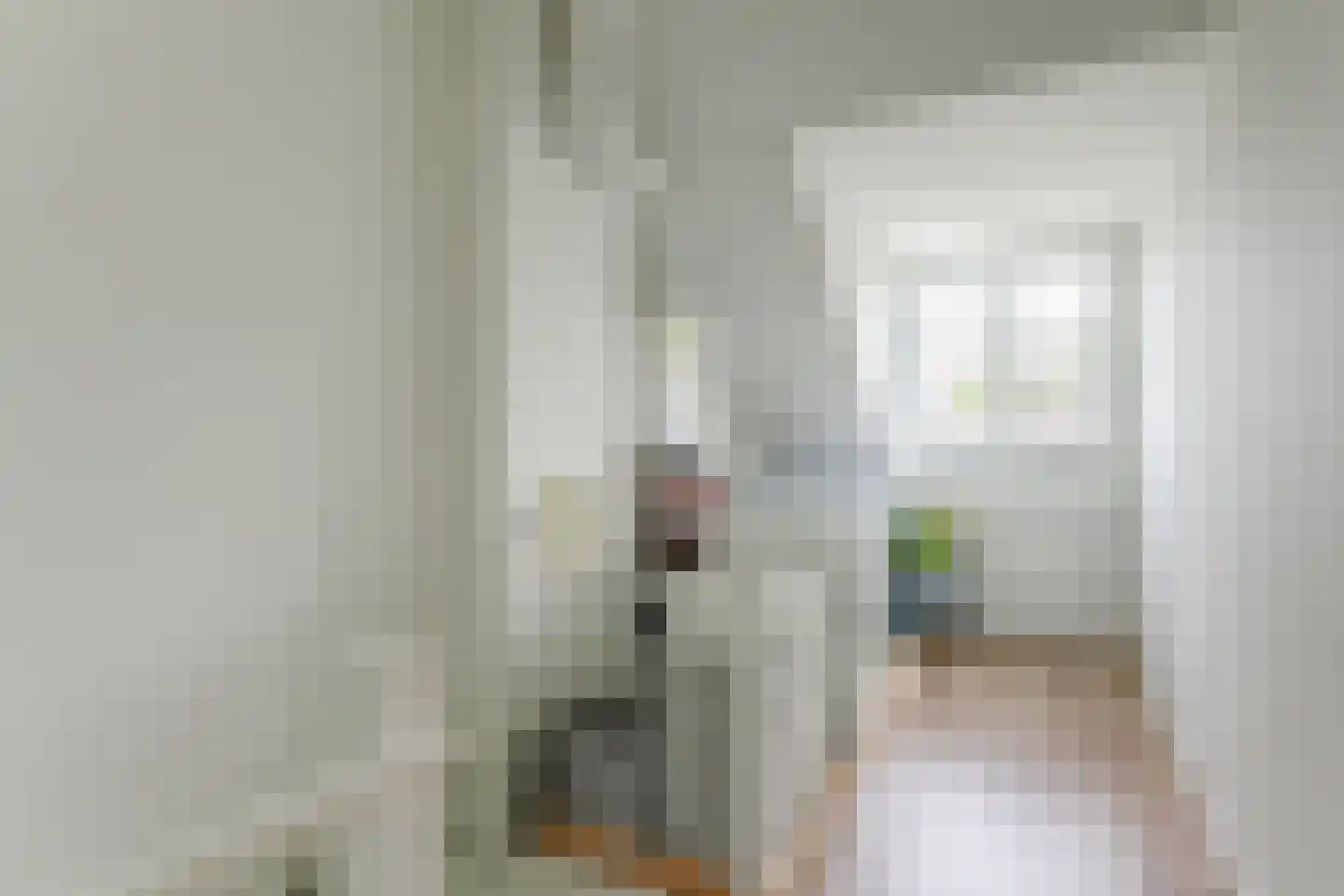 Albert Cuyplaan 46 Heerhugowaard thumbnail 36