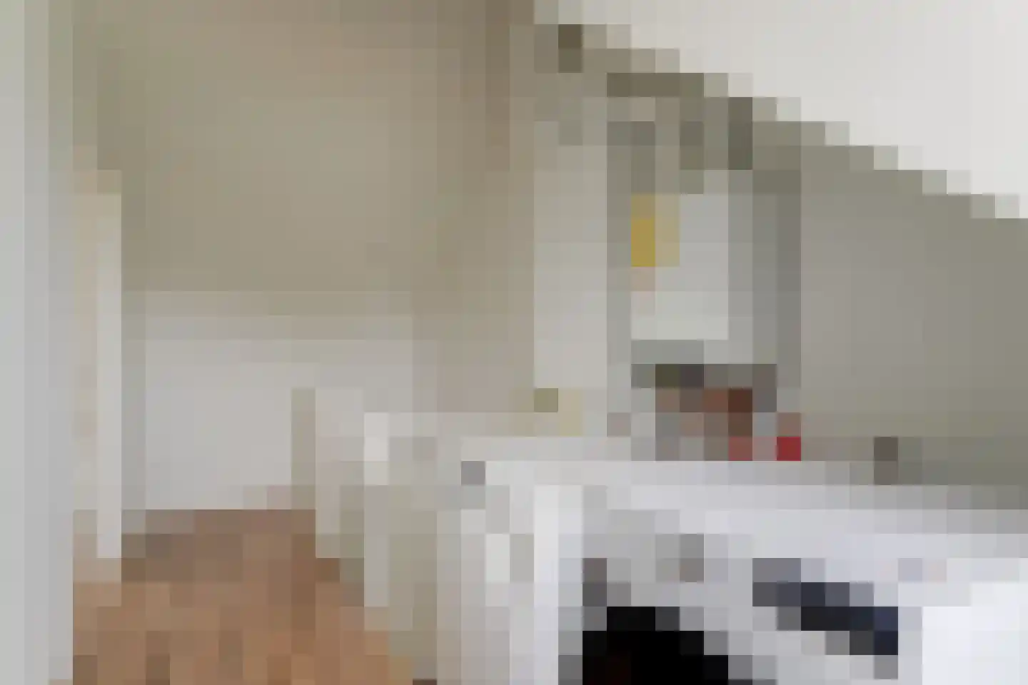 Albert Cuyplaan 46 Heerhugowaard thumbnail 37