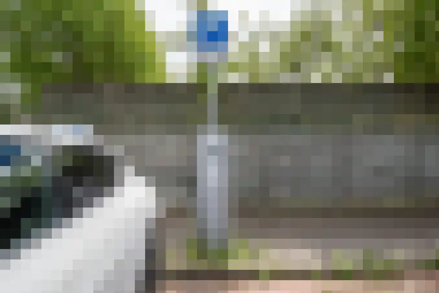 Albert Cuyplaan 46 Heerhugowaard thumbnail 53