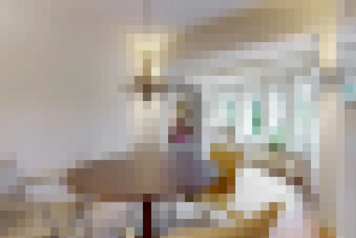 Albert Cuyplaan 60 Bilthoven thumbnail 17
