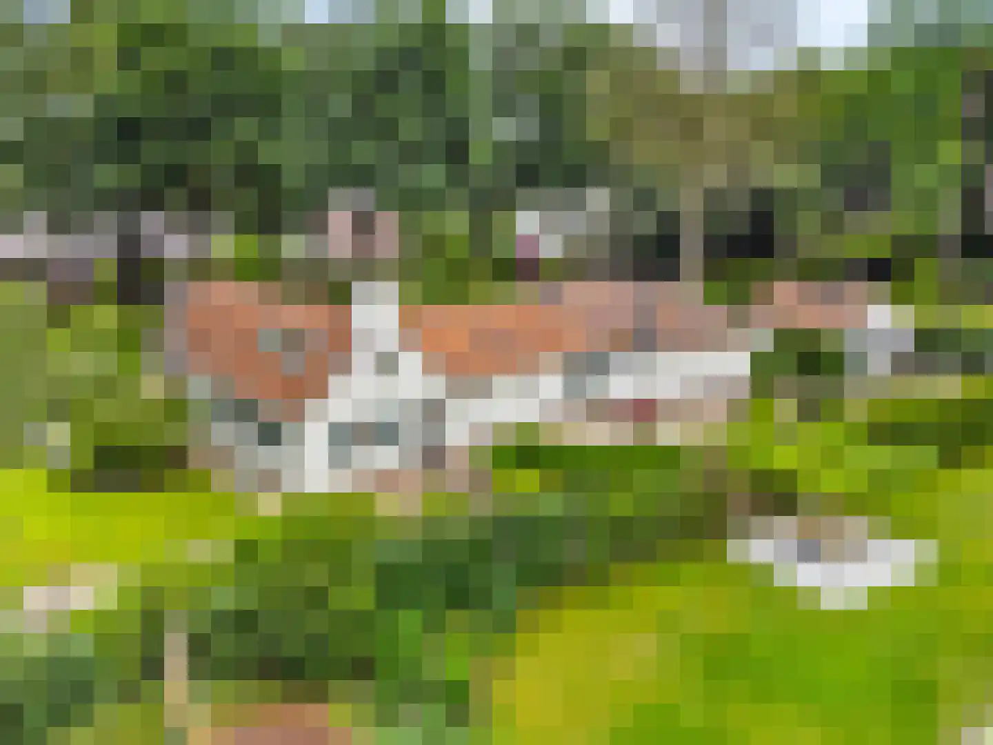Albert Cuyplaan 60 Bilthoven thumbnail 4