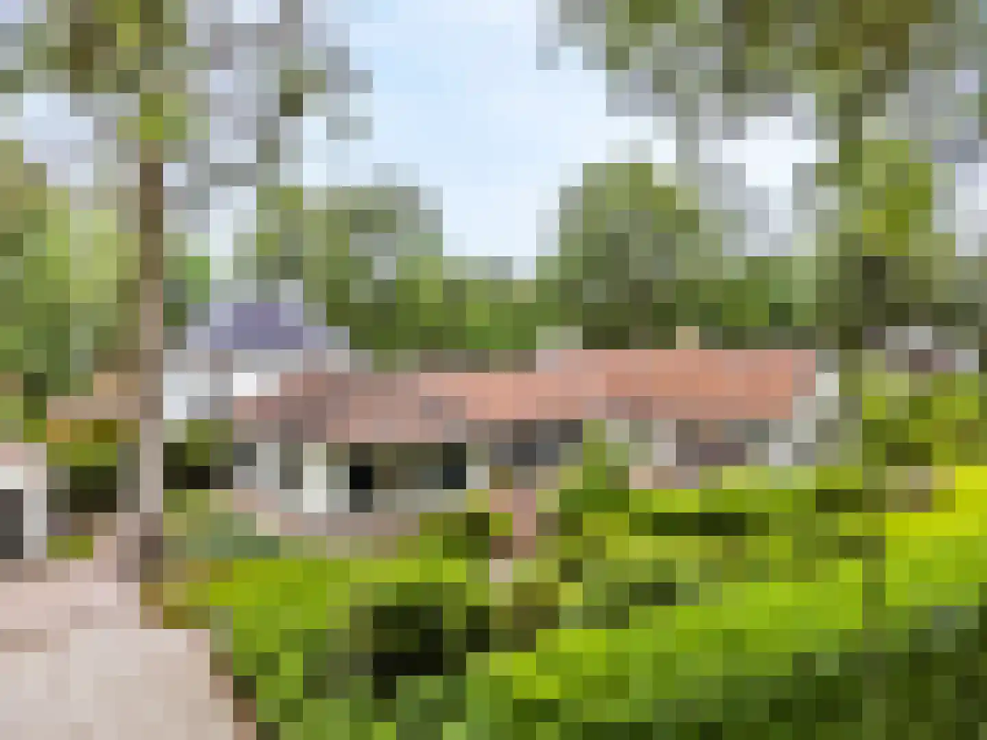 Albert Cuyplaan 60 Bilthoven thumbnail 42