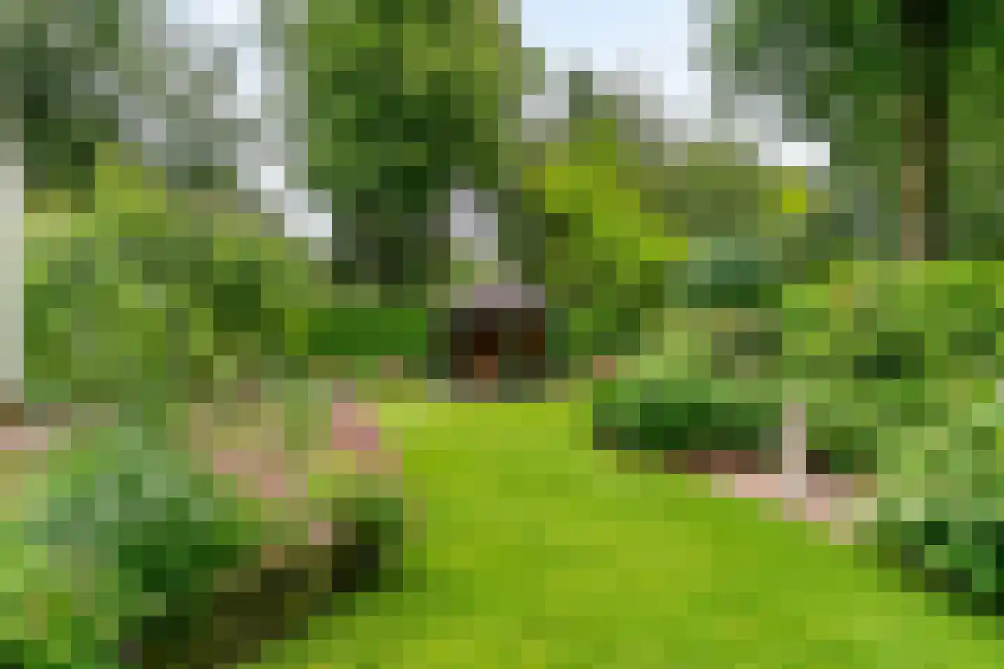 Albert Cuyplaan 60 Bilthoven thumbnail 48
