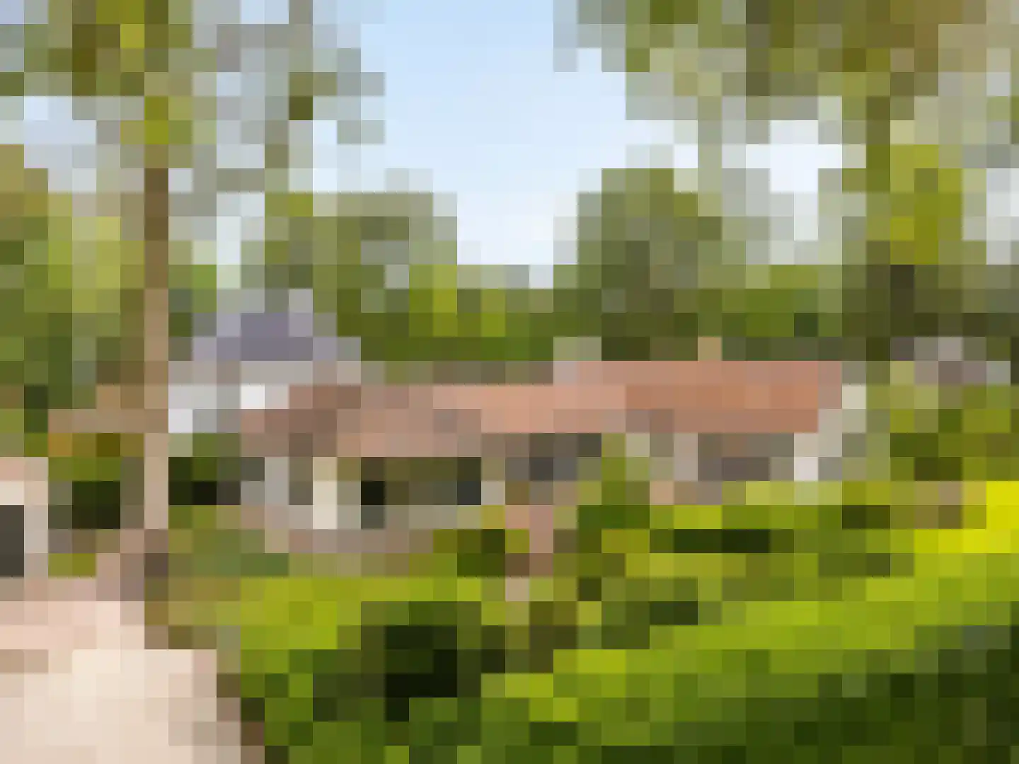 Albert Cuyplaan 60 Bilthoven thumbnail 5