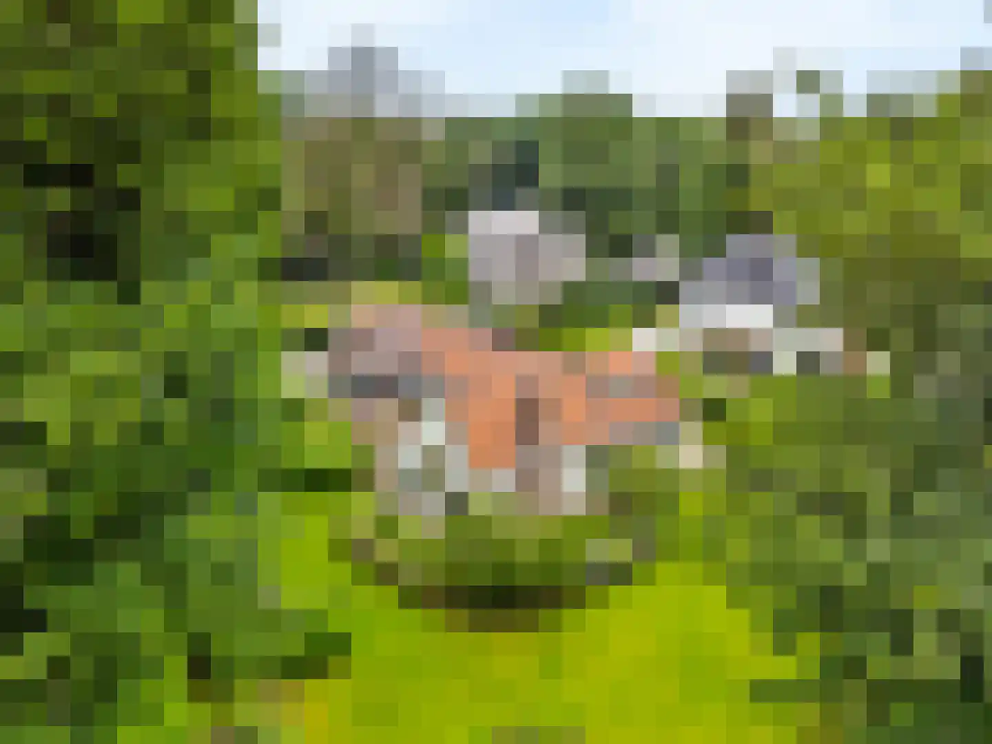 Albert Cuyplaan 60 Bilthoven thumbnail 5