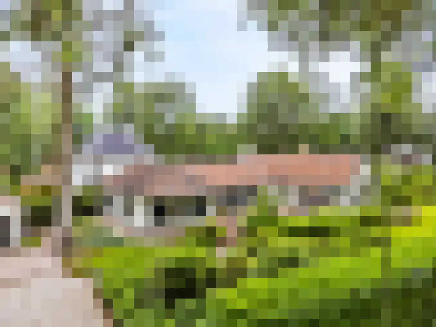 Albert Cuyplaan 60 Bilthoven thumbnail 51