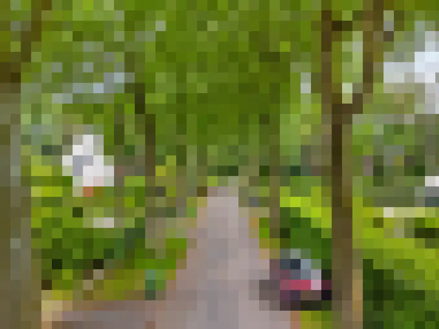 Albert Cuyplaan 60 Bilthoven thumbnail 55