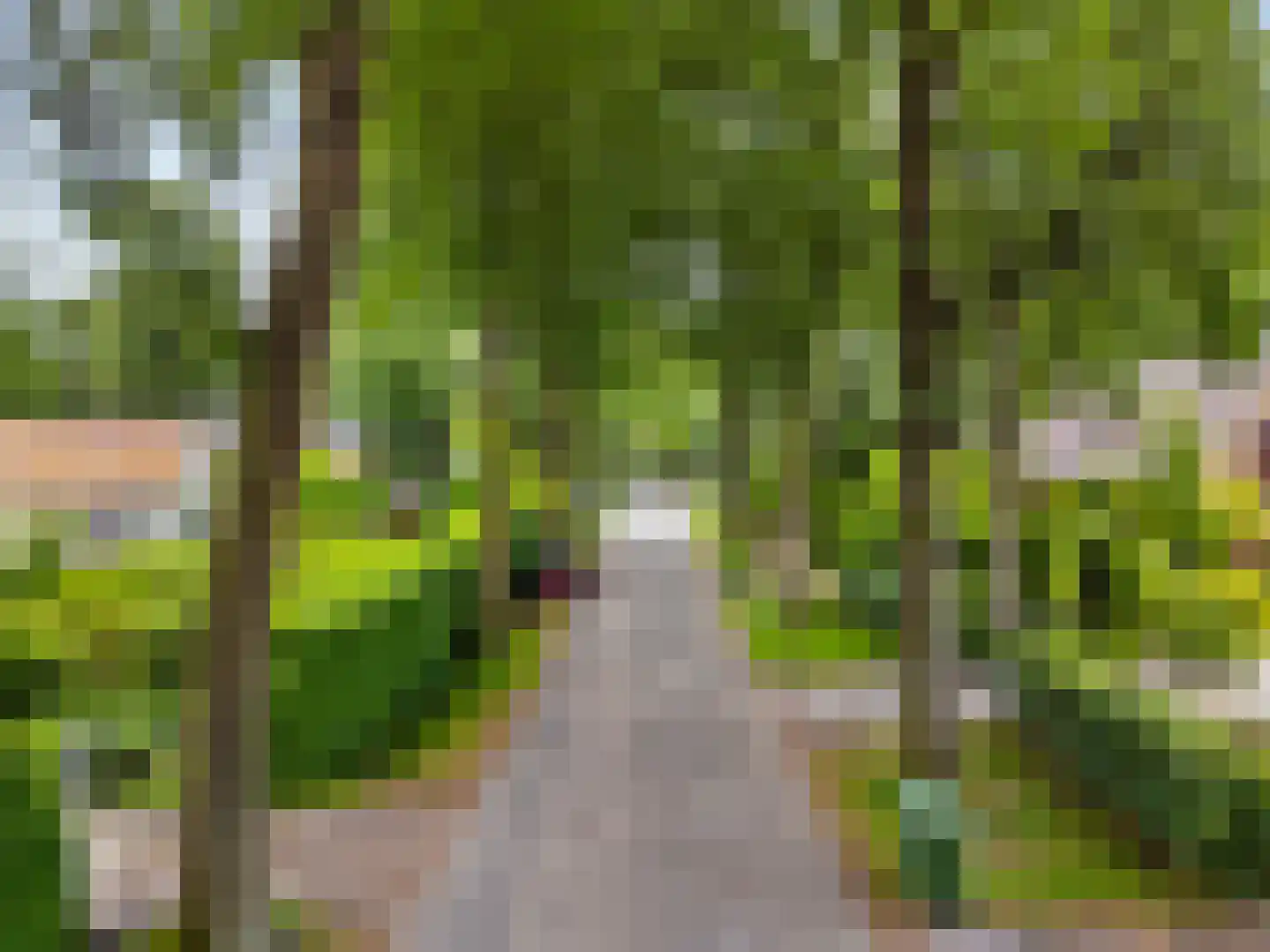 Albert Cuyplaan 60 Bilthoven thumbnail 56
