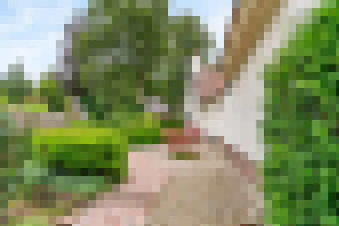 Albert Cuyplaan 60 Bilthoven thumbnail 6