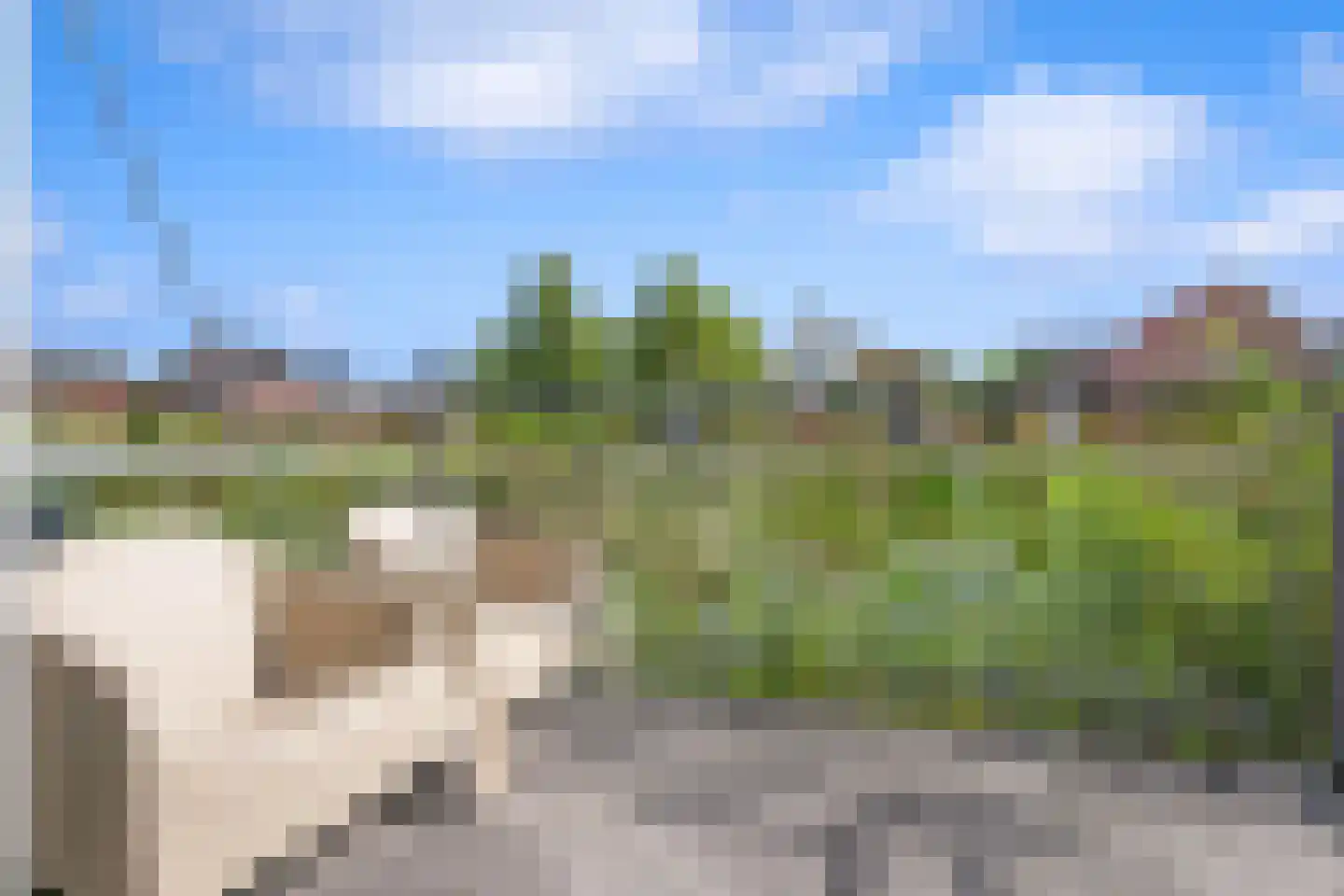 Albert Cuyplaan 7 Veendam thumbnail 20