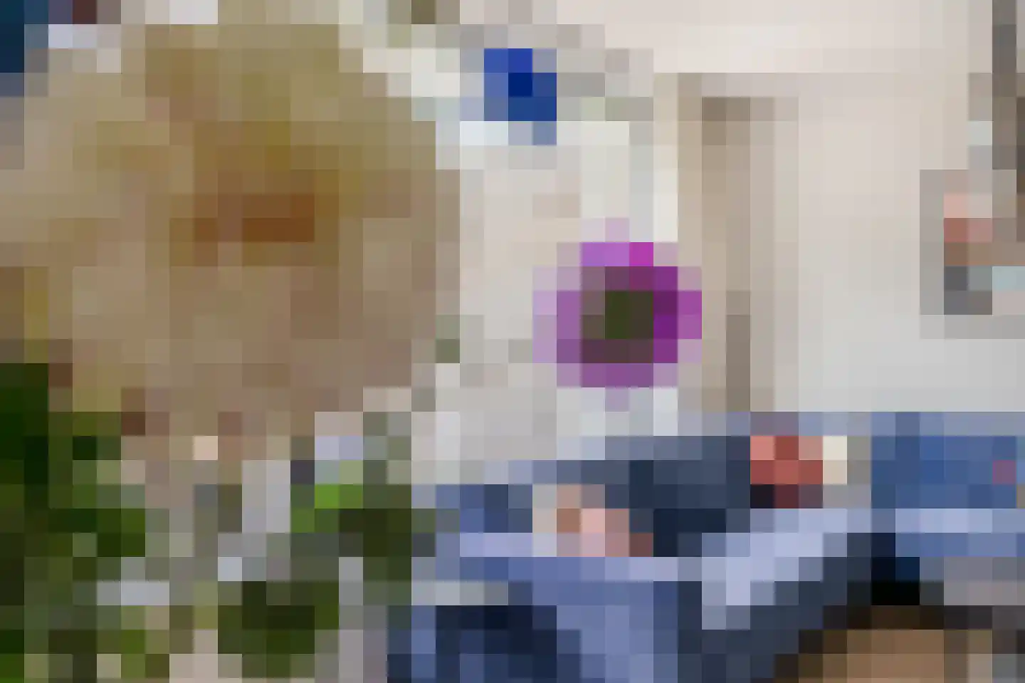 Albert Cuyplaan 7 Zoetermeer thumbnail 12
