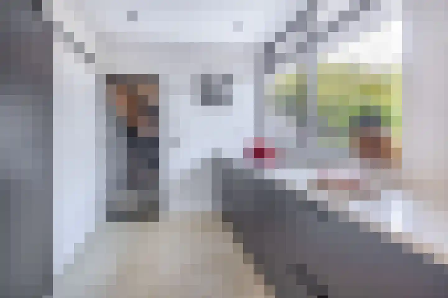 Albert Cuyplaan 7 Zoetermeer thumbnail 20
