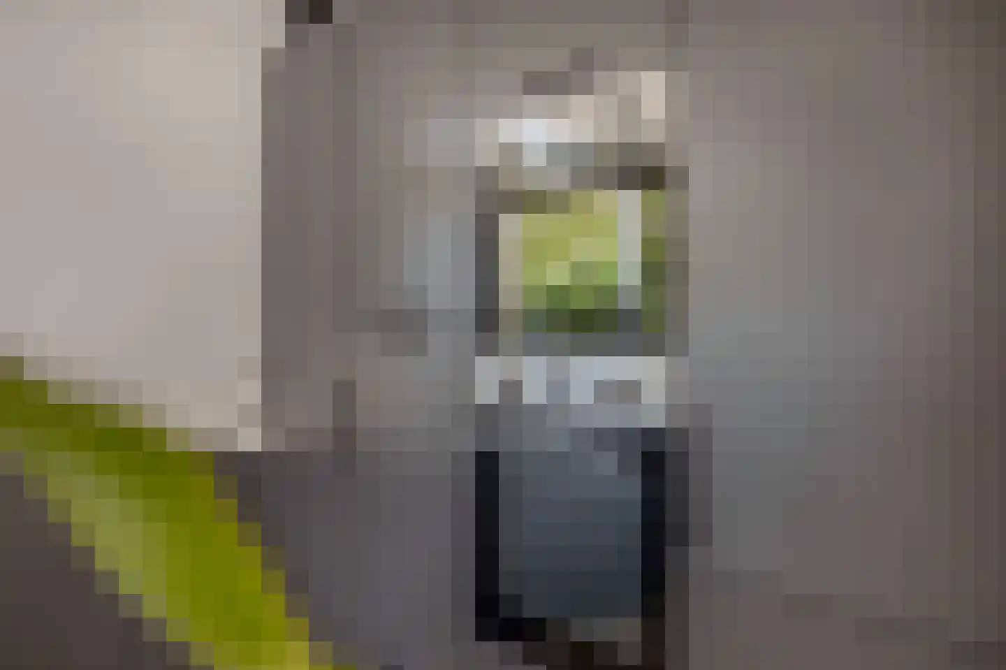 Albert Cuyplaan 7 Zoetermeer thumbnail 22