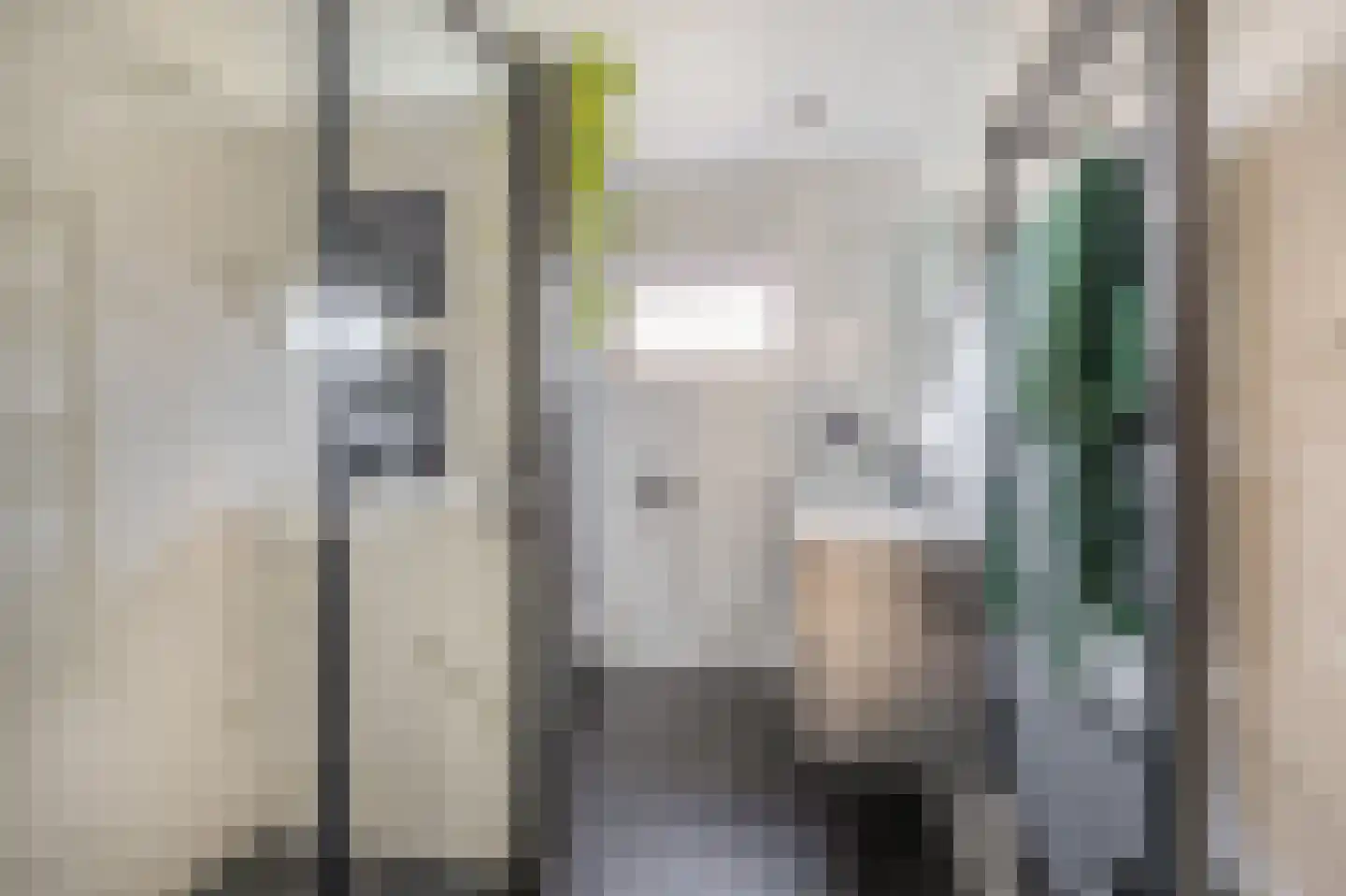 Albert Cuyplaan 7 Zoetermeer thumbnail 36