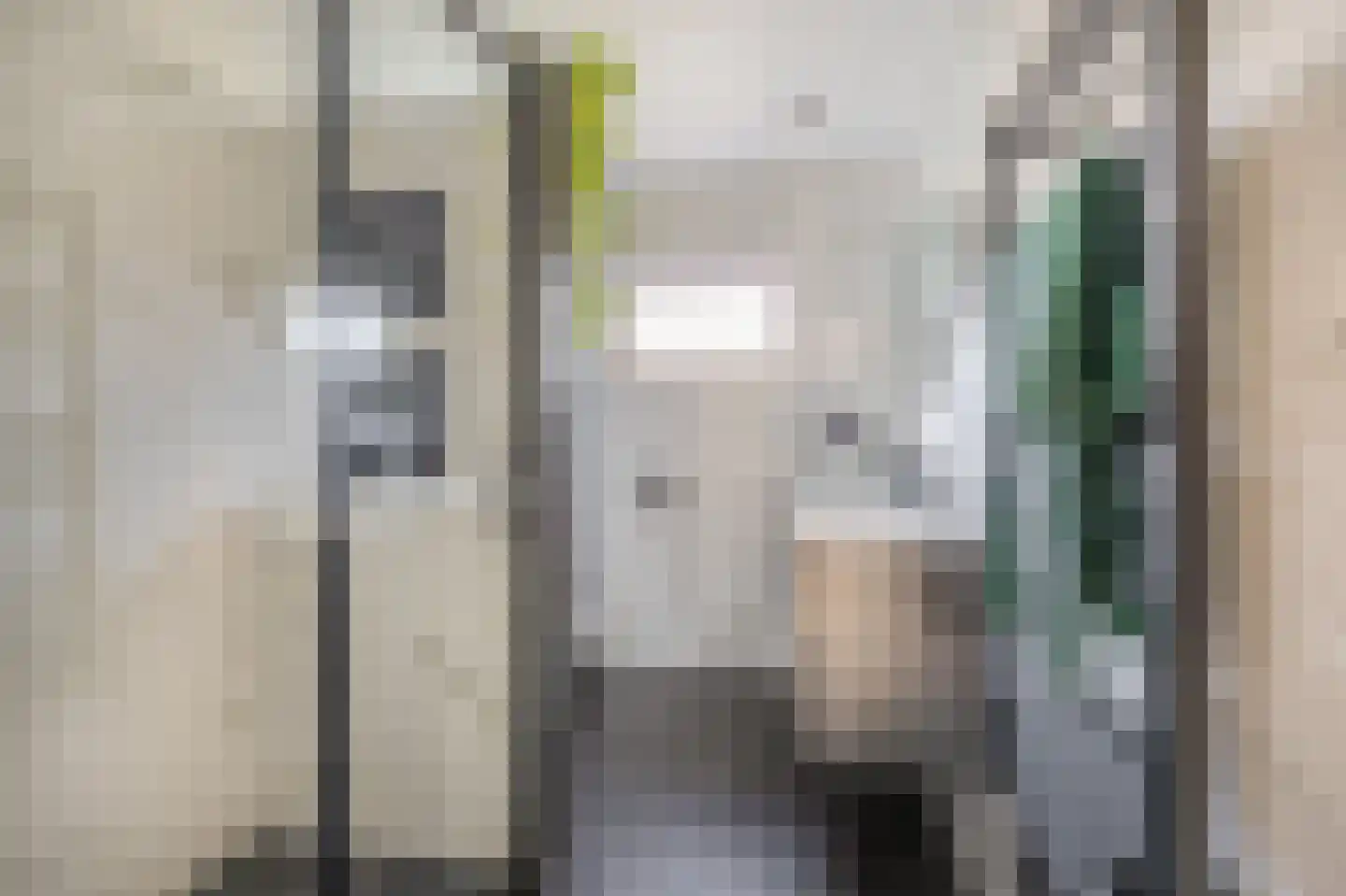 Albert Cuyplaan 7 Zoetermeer thumbnail 4