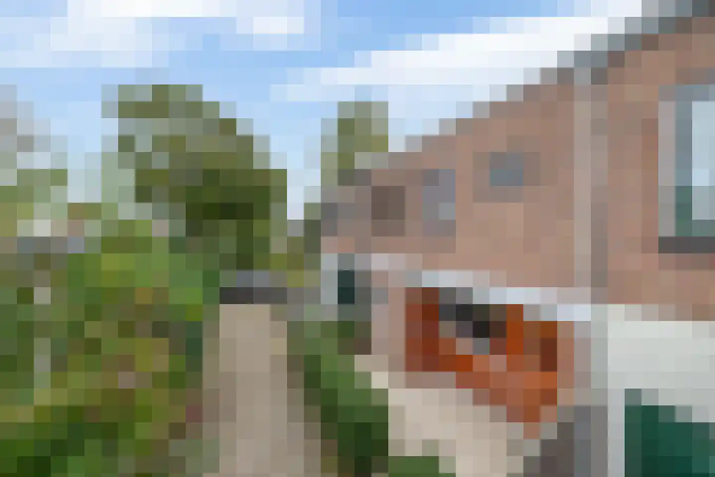 Albert Cuyplaan 7 Zoetermeer thumbnail 6
