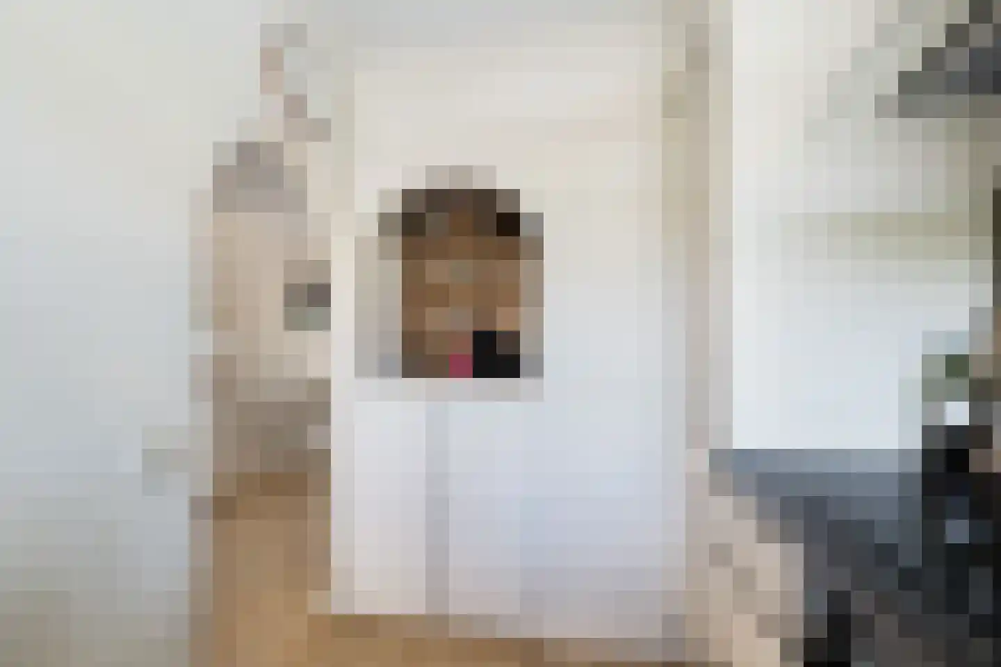 Albert Cuyplaan 9 Zoetermeer thumbnail 15