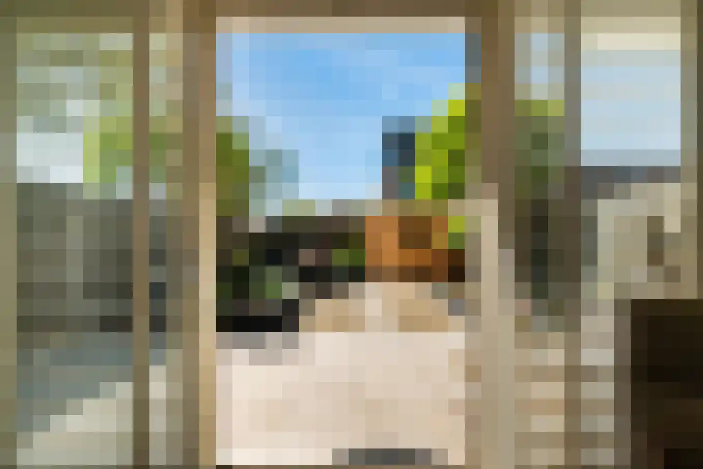 Albert Cuyplaan 9 Zoetermeer thumbnail 16
