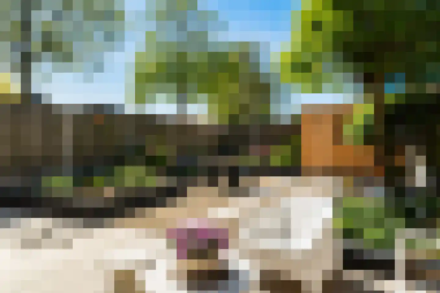 Albert Cuyplaan 9 Zoetermeer thumbnail 19