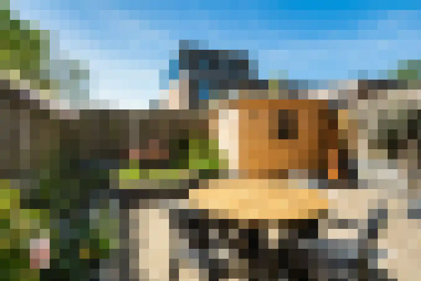 Albert Cuyplaan 9 Zoetermeer thumbnail 21