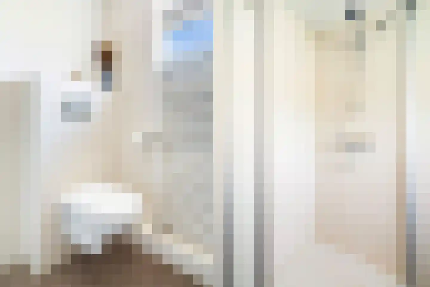 Albert Cuyplaan 9 Zoetermeer thumbnail 40
