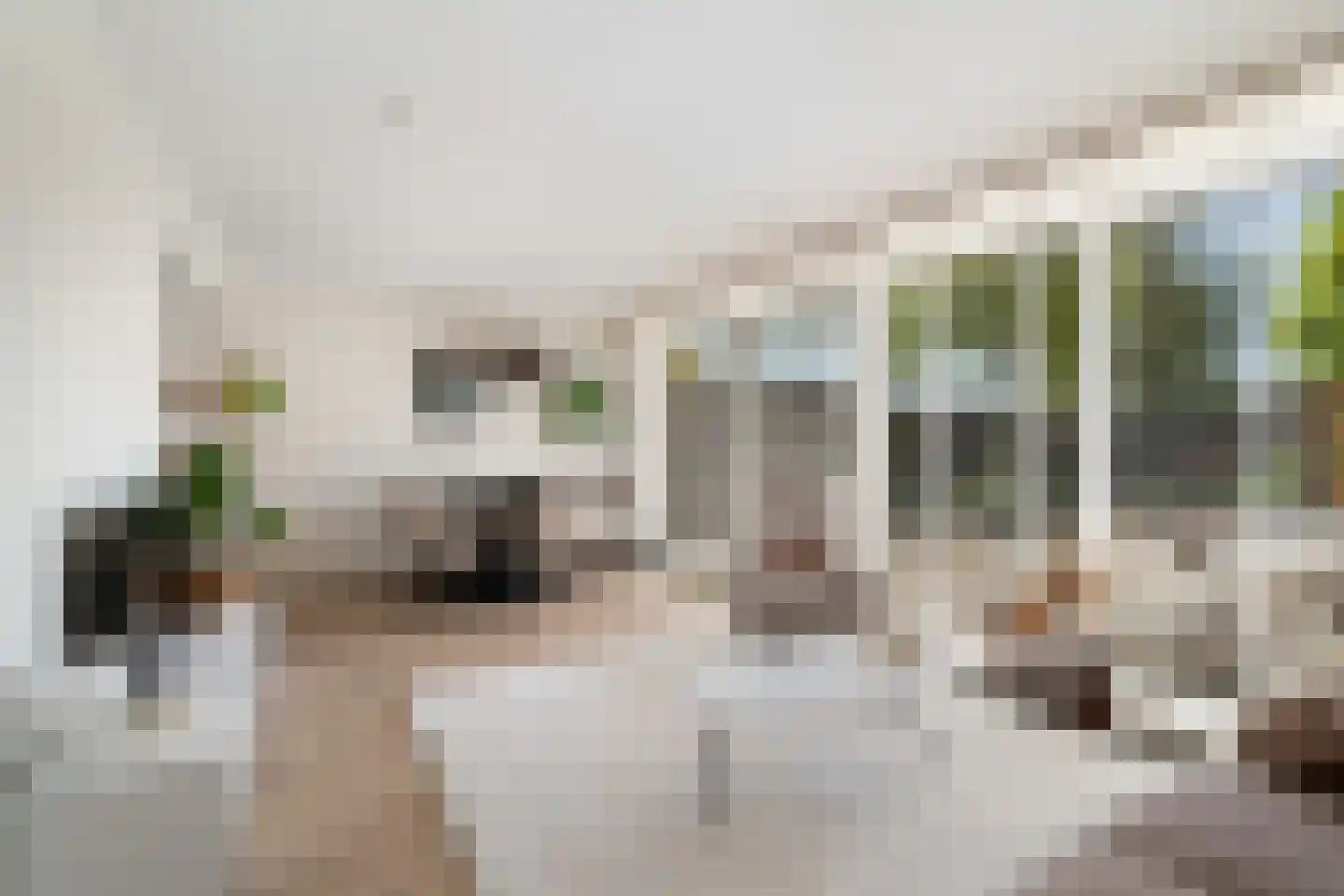 Albert Cuyplaan 9 Zoetermeer thumbnail 8