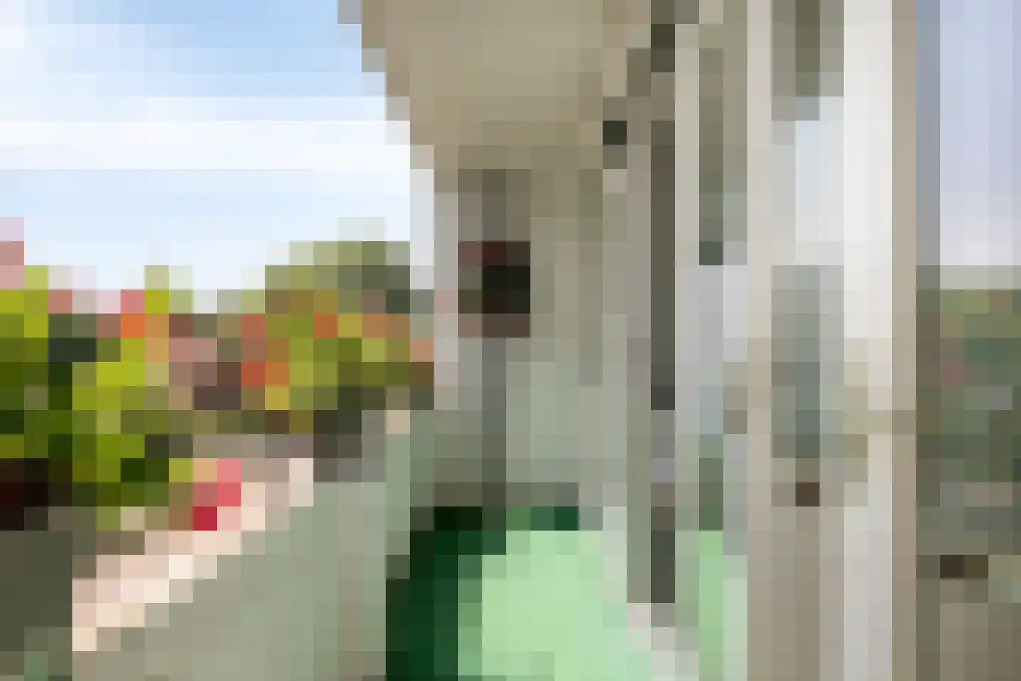Albert Cuyplaan 91 Soest thumbnail 19