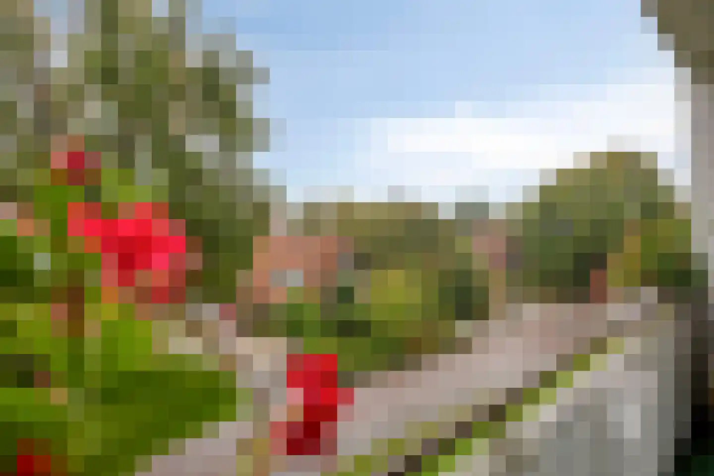 Albert Cuyplaan 91 Soest thumbnail 21