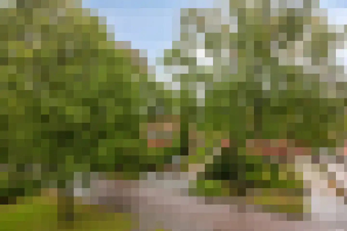 Albert Cuyplaan 91 Soest thumbnail 22