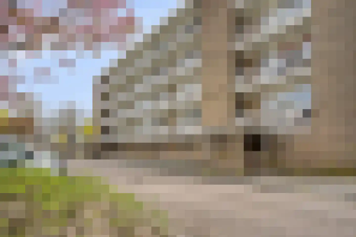 Albert Cuyplaan 91 Soest thumbnail 24