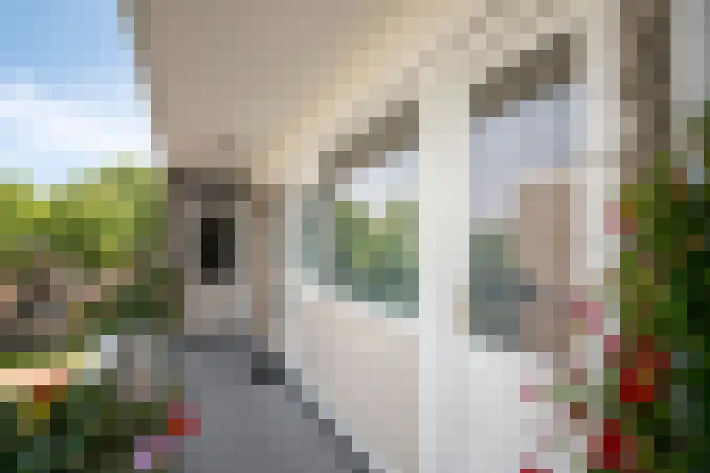 Albert Cuyplaan 91 Soest thumbnail 5