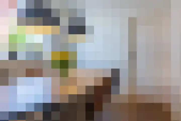 Albert Cuyplaan 93 Haaksbergen thumbnail 13