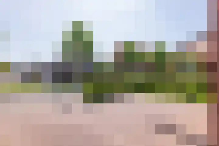 Albert Cuyplaan 93 Haaksbergen thumbnail 50