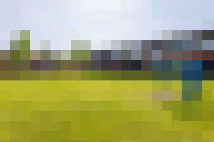 Albert Cuyplaan 93 Haaksbergen thumbnail 52
