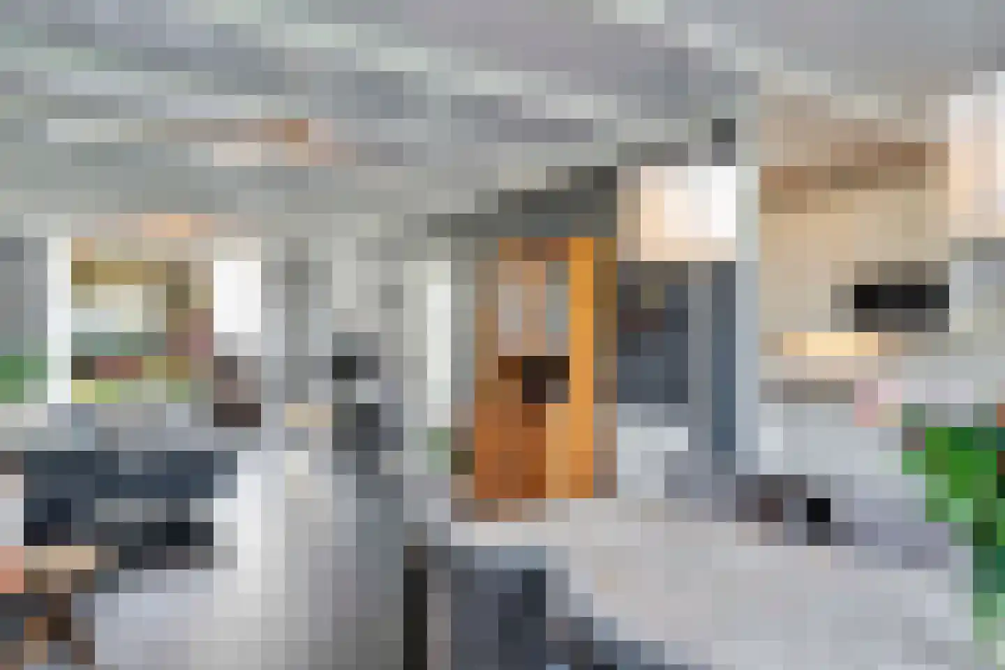 Albert Cuypplein 22 Maassluis thumbnail 18