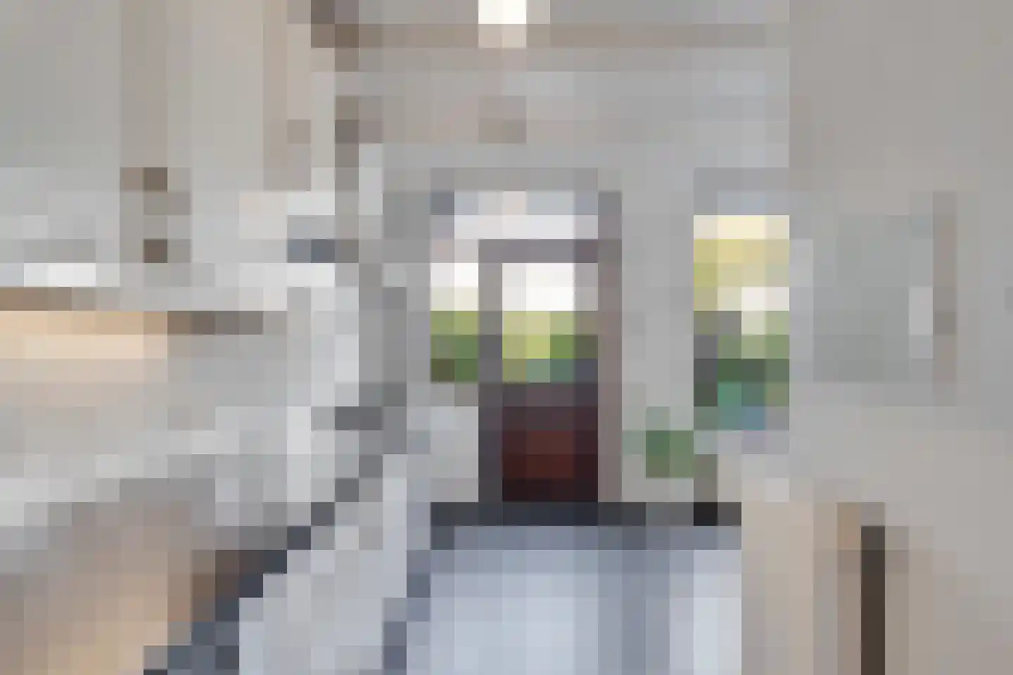 Albert Cuypplein 22 Maassluis thumbnail 23