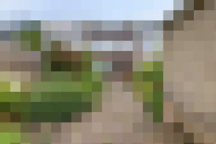 Albert Cuypplein 6 Maassluis thumbnail 11