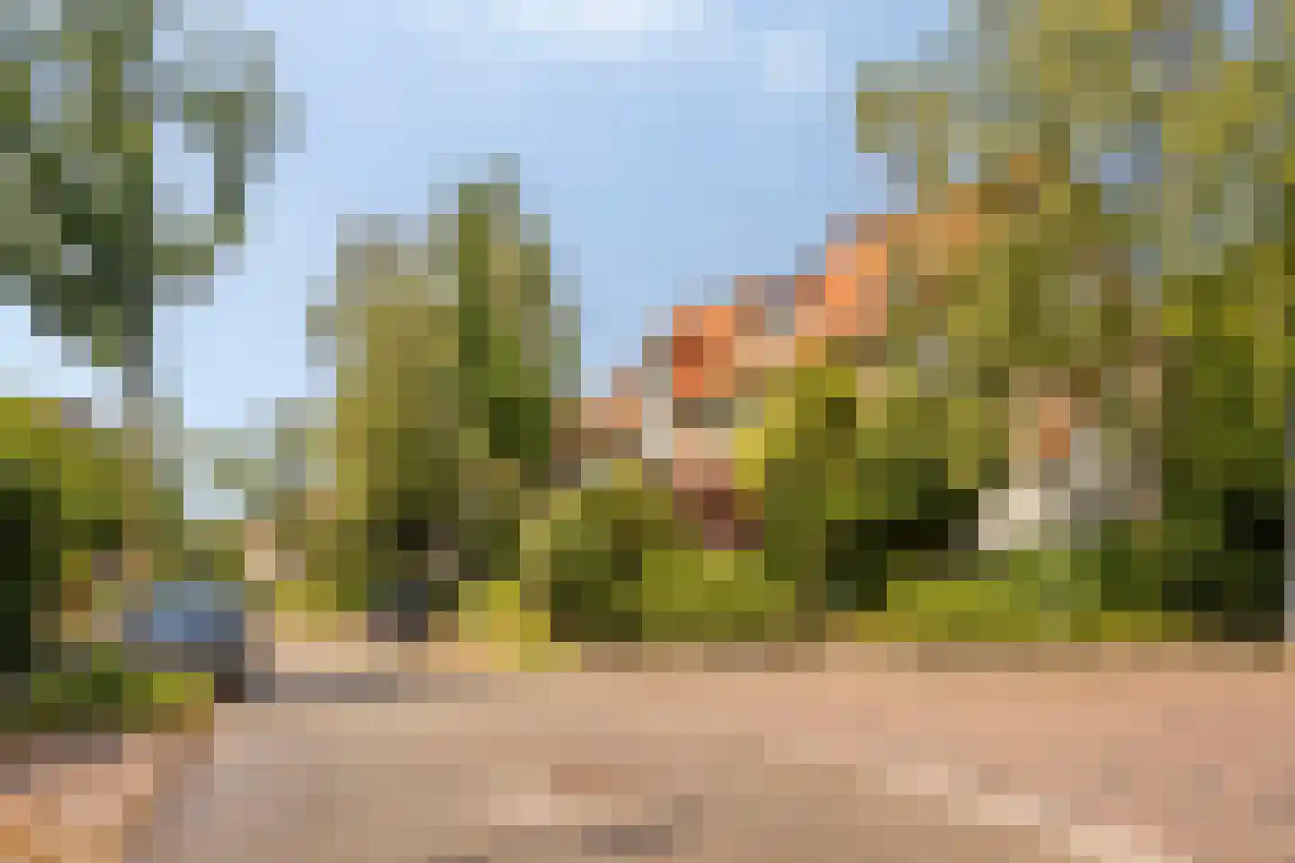 Albert Cuypstraat 1 Arnhem thumbnail 4