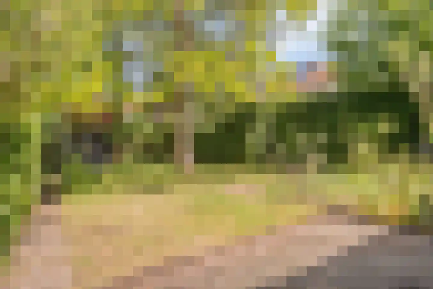 Albert Cuypstraat 1 Arnhem thumbnail 43